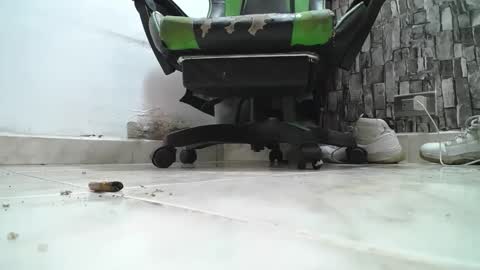 sr master cum its my old account online show from 04.14.26