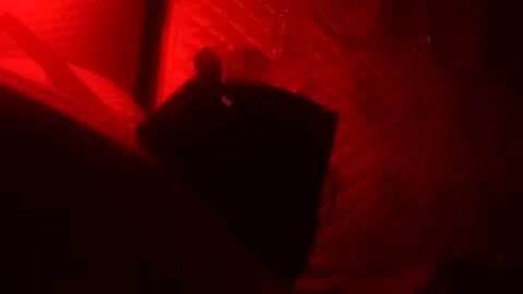 Snapshot of st0ned_d chatting on 10.22.25 Dick online show from 10.22.25