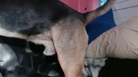 Sinserity online show from 04.02.26