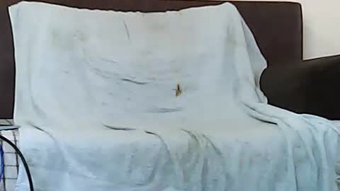 Snapshot of star0806666a chatting on 11.06.25 star0806666a online show from 11.06.25