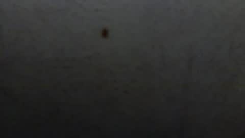 Snapshot of starguy600 chatting on 01.11.26 starguy600 online show from 01.11.26