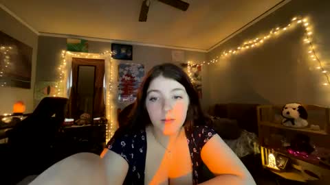 Starlight online show from 12.02.24