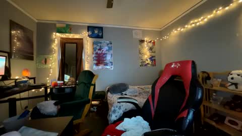 Starlight online show from 12.11.24