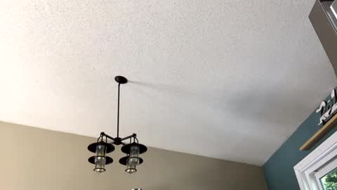 Steakman online show from 02.23.25