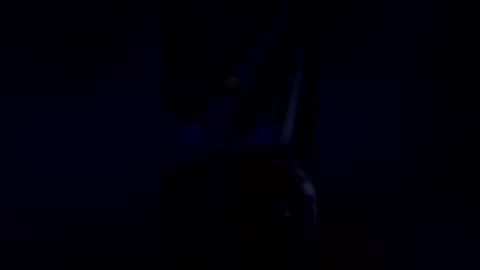 steelydan1942 online show from 01.18.26