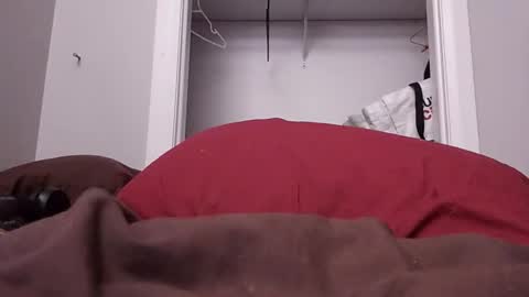 STEEVIDENTACHATTE online show from 02.22.26