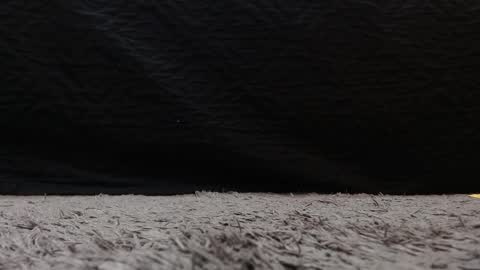 Stefany Brown online show from 03.21.26