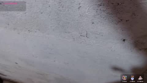 Snapshot of stefany_pablo1 chatting on 11.01.25 stefany_pablo1 online show from 11.01.25