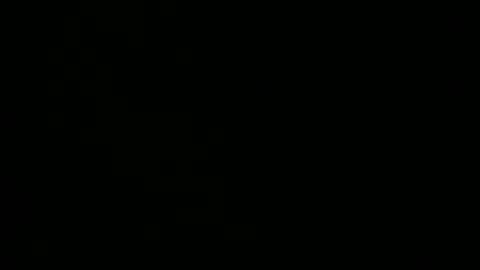 steflab online show from 02.10.26