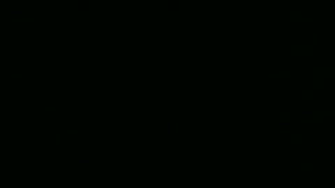 steflab online show from 02.24.26