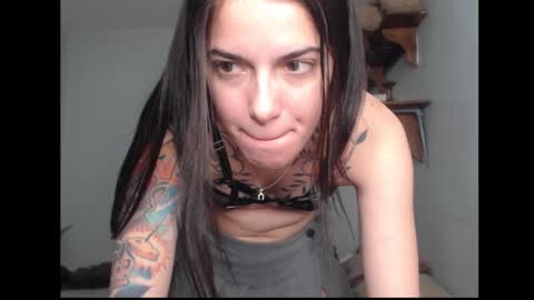 Stella online show from 02.17.26