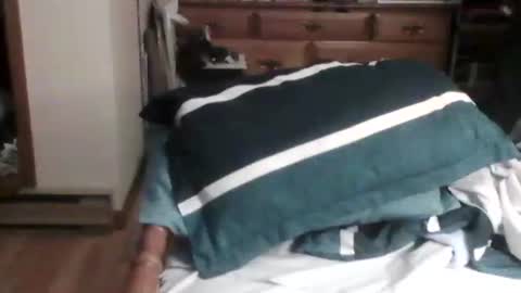 Ian23602 online show from 12.26.24