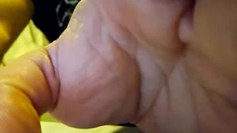 stereobox44 online show from 03.14.26