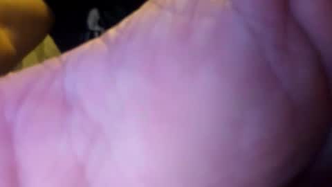 stereobox44 online show from 03.20.26