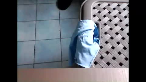 stevenx1974 online show from 03.08.26