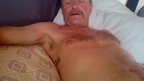 Snapshot of steviehard7 chatting on 10.02.25 steviehard7 online show from 10.02.25