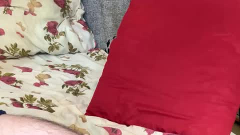 Chris online show from 10.21.25