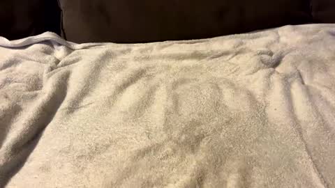 stiffrick682 online show from 01.07.25