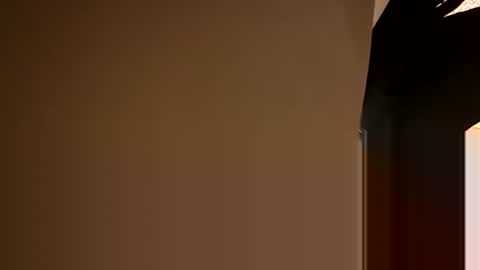 Snapshot of stokely571996 chatting on 12.05.24 Oval2022 online show from 12.05.24