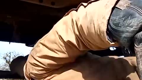 Snapshot of stokely571996 chatting on 01.01.25 Oval2022 online show from 01.01.25