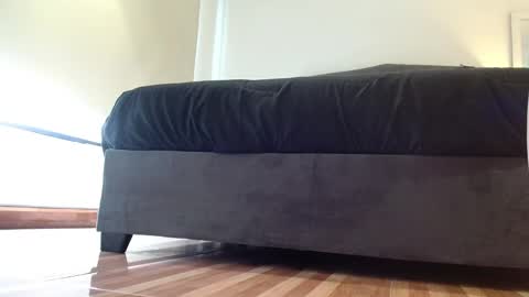 Snapshot of stormy_carter chatting on 11.04.25 stormy carter online show from 11.04.25