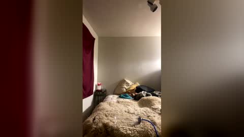 Stag online show from 01.10.26