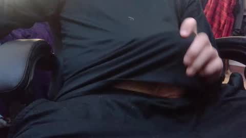 stray cat online show from 12.16.25