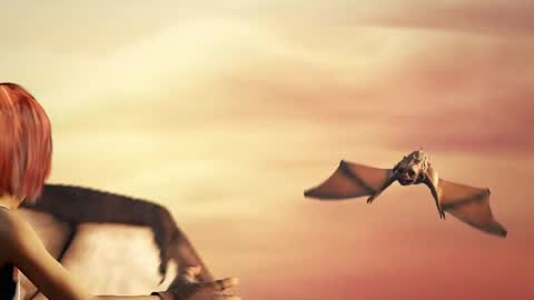 stream247_v2 online show from 01.15.26