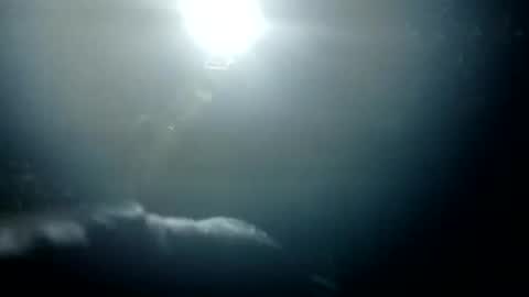 Snapshot of stroll0695 chatting on 01.26.25 Bigdickdugan online show from 01.26.25