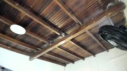 Alexa   online show from 02.02.26