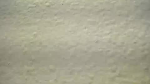 subswitchuser online show from 10.03.25