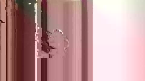 JJ online show from 12.17.25