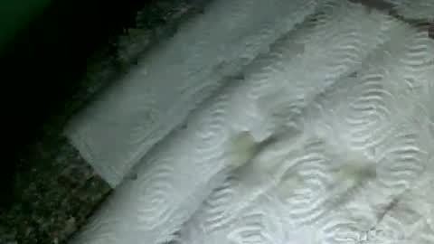 Martin sweetboy online show from 02.18.25