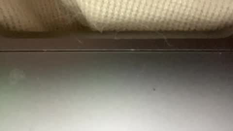 Snapshot of sugadee chatting on 02.04.25 sugadee online show from 02.04.25