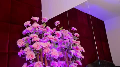 Snapshot of sugar_maple chatting on 09.26.25 Sugar online show from 09.26.25