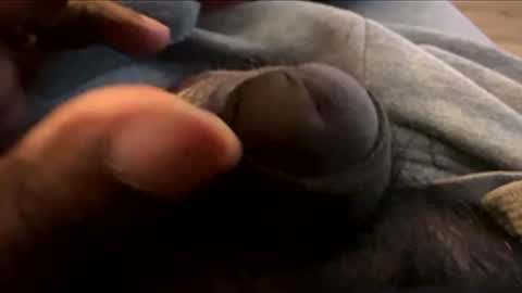 Snapshot of suggnight chatting on 01.07.26 Let me be your knight that saves you online show from 01.07.26