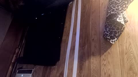 Snapshot of summerdivine69 chatting on 02.22.25 Summer Divine online show from 02.22.25