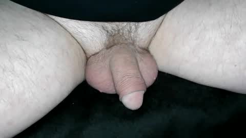 s online show from 02.21.26