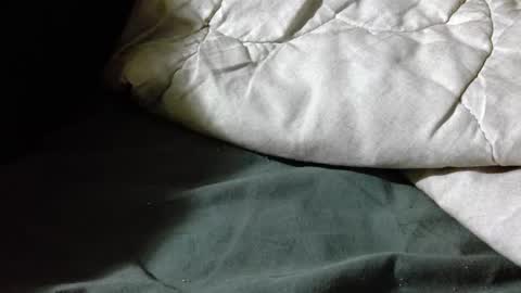 Shy guy online show from 04.19.26