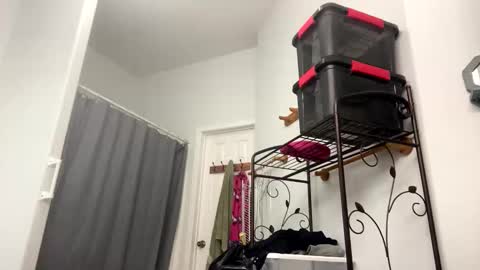 Snapshot of sunny_clementine chatting on 11.04.25 Sunny Clementine online show from 11.04.25