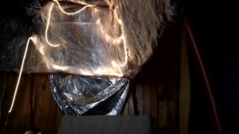 Snapshot of super_jony chatting on 10.01.25 super jony and Marta GMT 1300-1800 every day online show from 10.01.25