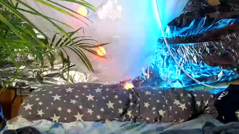 Snapshot of super_jony chatting on 10.09.25 super jony and Marta GMT 1300-1800 every day online show from 10.09.25