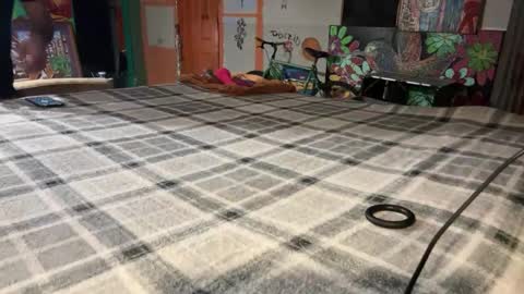 Snapshot of supremelifers chatting on 12.02.24 Stony online show from 12.02.24