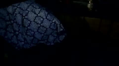 sloth online show from 02.27.26