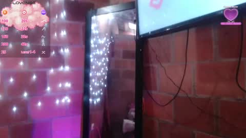 Snapshot of sussy_222 chatting on 02.13.25 susy online show from 02.13.25