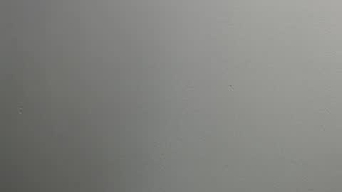 Snapshot of sussy_leon chatting on 01.28.25 sussy leon online show from 01.28.25