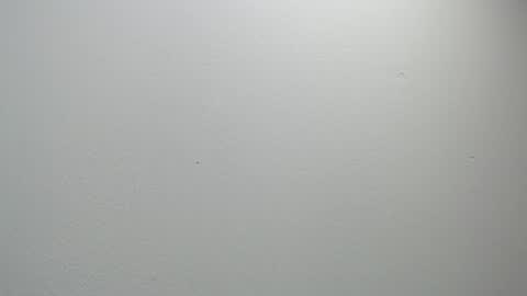 Snapshot of sussy_leon chatting on 02.11.25 sussy leon online show from 02.11.25