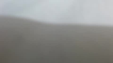 Snapshot of suzyblack4 chatting on 02.17.26 Suzy online show from 02.17.26