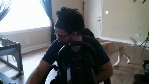 Swals online show from 01.29.25