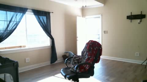 Swals online show from 02.02.25